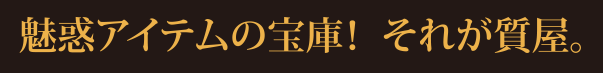魅惑アイテムの宝庫！ それが質屋